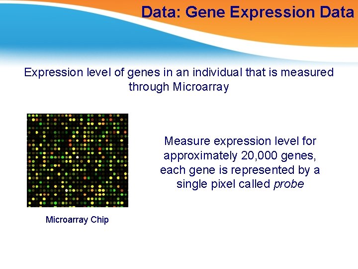 Data: Gene Expression Data Expression level of genes in an individual that is measured