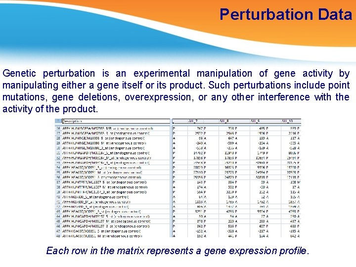Perturbation Data Genetic perturbation is an experimental manipulation of gene activity by manipulating either