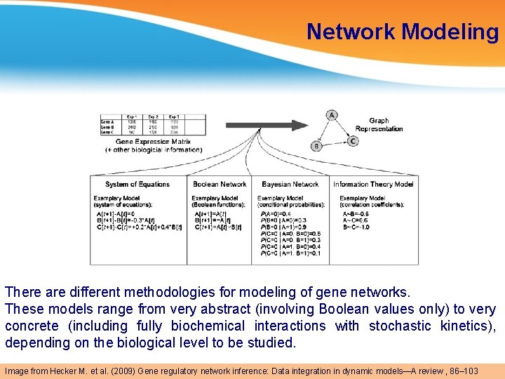 Network Modeling There are different methodologies for modeling of gene networks. These models range