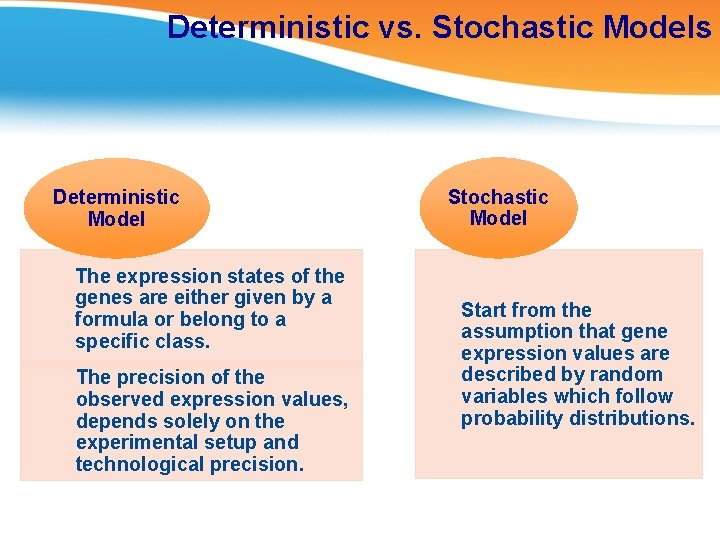 Deterministic vs. Stochastic Models Deterministic Model The expression states of the genes are either