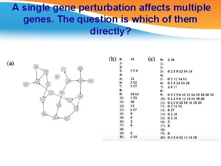 A single gene perturbation affects multiple genes. The question is which of them directly?