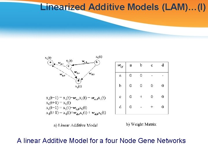 Linearized Additive Models (LAM)…(I) A linear Additive Model for a four Node Gene Networks