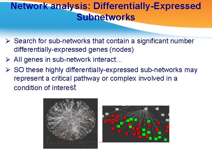 Network analysis: Differentially-Expressed Subnetworks Ø Search for sub-networks that contain a significant number differentially-expressed