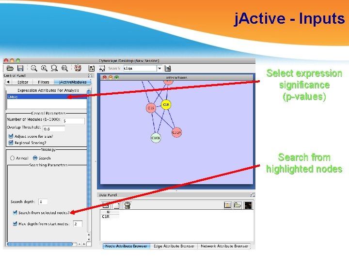 j. Active - Inputs Select expression significance (p-values) Search from highlighted nodes 