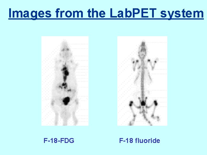 Images from the Lab. PET system F-18 -FDG F-18 fluoride 