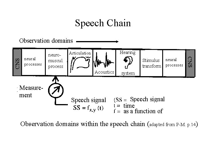 Speech Chain neural processes neuromuscul. process Hearing Articulation Stimulus neural transform processes Acoustics Measurement