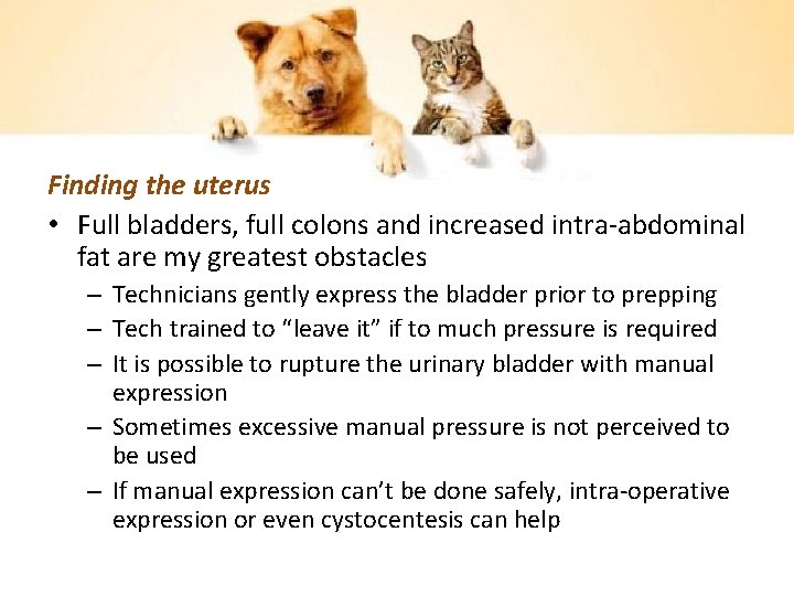 Finding the uterus • Full bladders, full colons and increased intra-abdominal fat are my