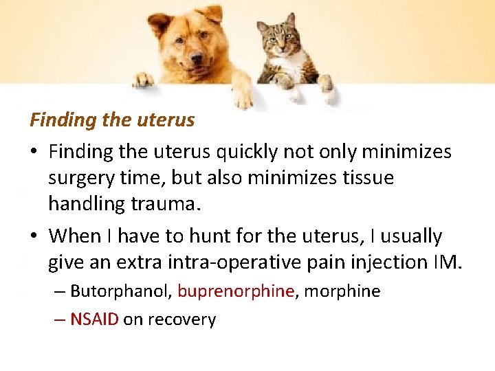 Finding the uterus • Finding the uterus quickly not only minimizes surgery time, but
