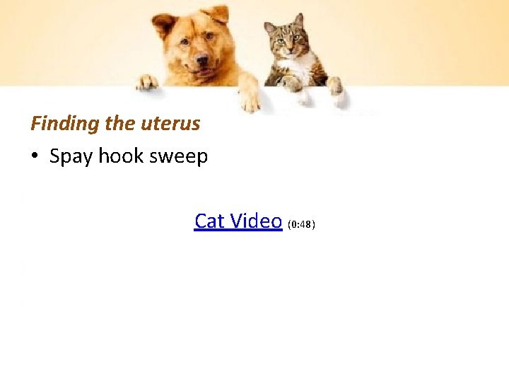 Finding the uterus • Spay hook sweep Cat Video (0: 48) 