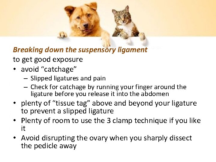 Breaking down the suspensory ligament to get good exposure • avoid “catchage” – Slipped