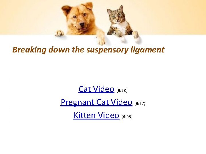 Breaking down the suspensory ligament Cat Video (0: 18) Pregnant Cat Video (0: 17)