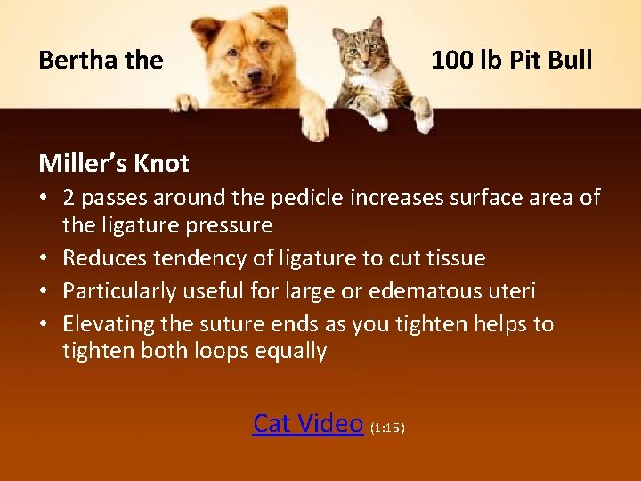 Bertha the 100 lb Pit Bull Miller’s Knot • 2 passes around the pedicle