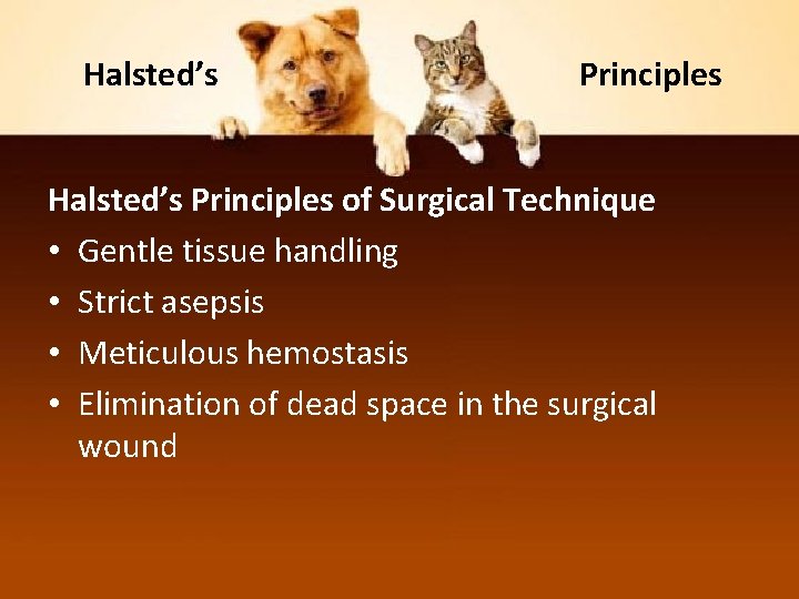 Halsted’s Principles of Surgical Technique • Gentle tissue handling • Strict asepsis • Meticulous