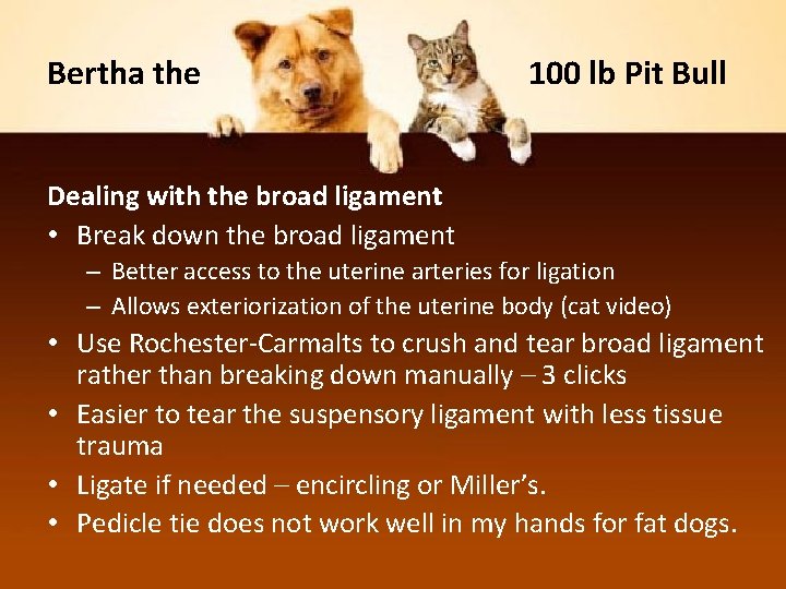 Bertha the 100 lb Pit Bull Dealing with the broad ligament • Break down