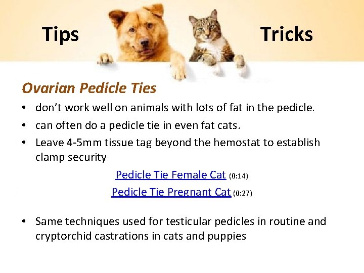 Tips Tricks Ovarian Pedicle Ties • don’t work well on animals with lots of