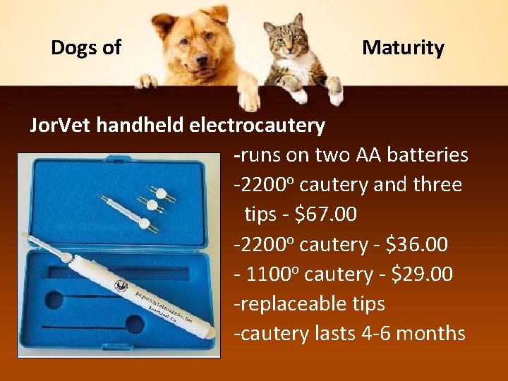 Dogs of Maturity Jor. Vet handheld electrocautery -runs on two AA batteries -2200 o