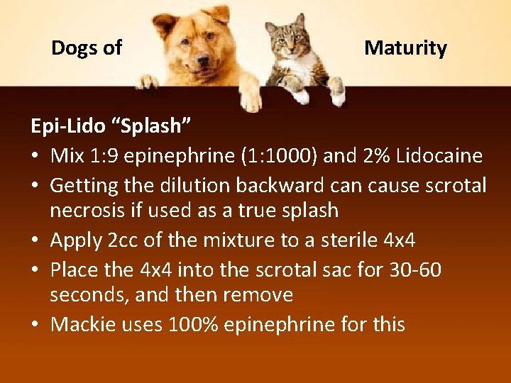Dogs of Maturity Epi-Lido “Splash” • Mix 1: 9 epinephrine (1: 1000) and 2%