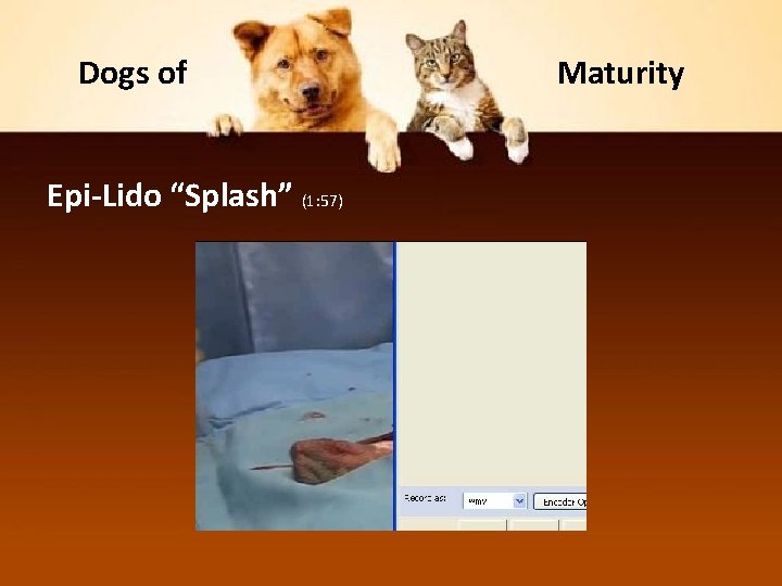 Dogs of Epi-Lido “Splash” (1: 57) Maturity 