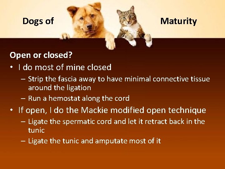Dogs of Maturity Open or closed? • I do most of mine closed –