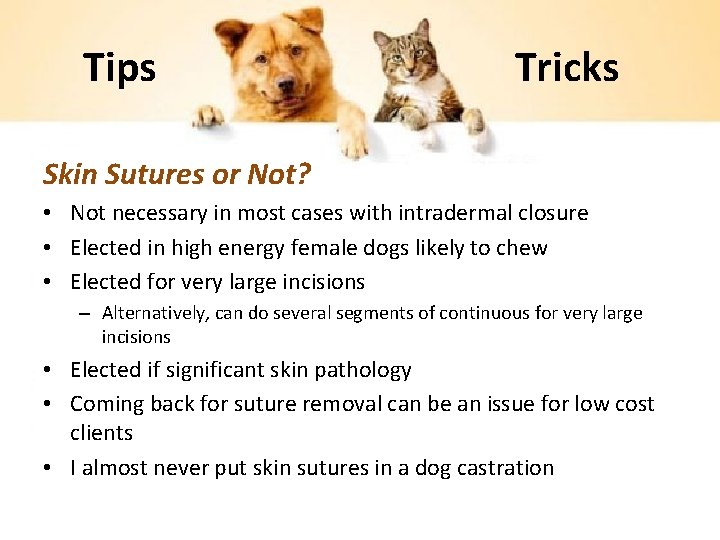 Tips Tricks Skin Sutures or Not? • Not necessary in most cases with intradermal