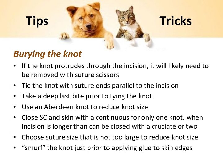 Tips Tricks Burying the knot • If the knot protrudes through the incision, it