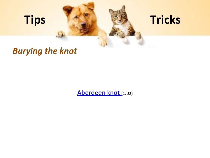 Tips Tricks Burying the knot Aberdeen knot (1: 32) 