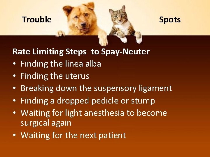 Trouble Spots Rate Limiting Steps to Spay-Neuter • Finding the linea alba • Finding