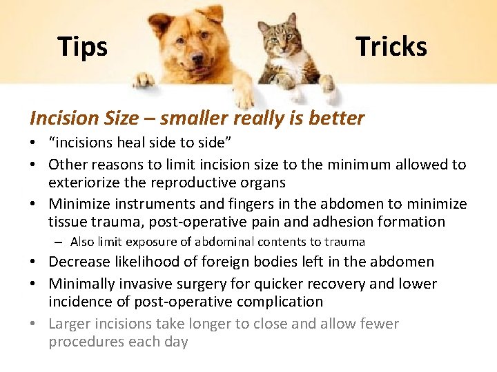 Tips Tricks Incision Size – smaller really is better • “incisions heal side to