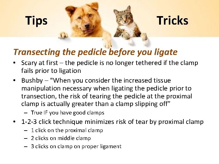 Tips Tricks Transecting the pedicle before you ligate • Scary at first – the