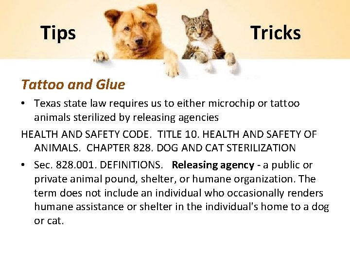 Tips Tricks Tattoo and Glue • Texas state law requires us to either microchip