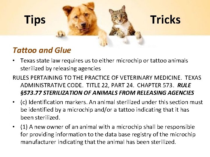 Tips Tricks Tattoo and Glue • Texas state law requires us to either microchip