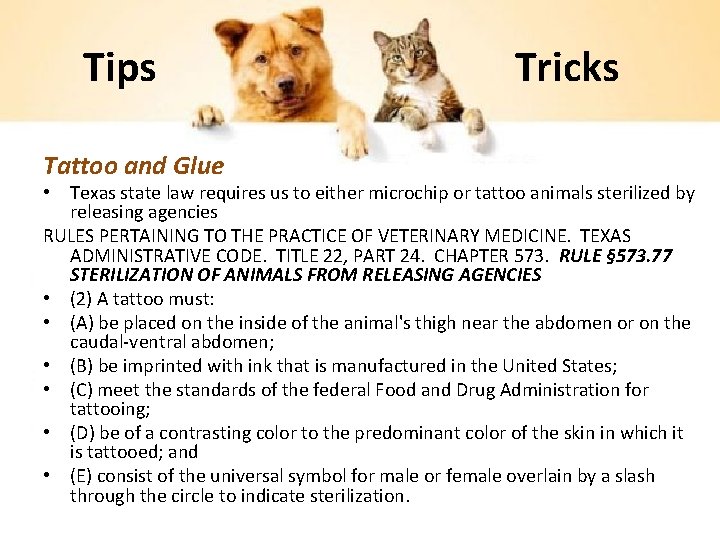Tips Tattoo and Glue Tricks • Texas state law requires us to either microchip