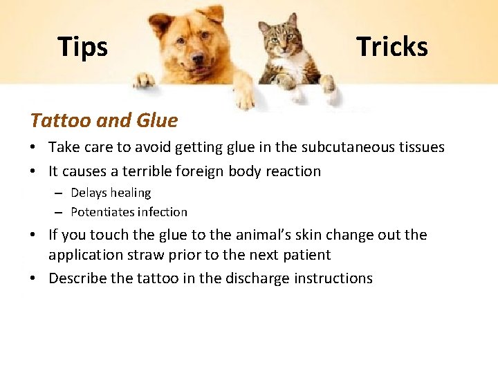 Tips Tricks Tattoo and Glue • Take care to avoid getting glue in the