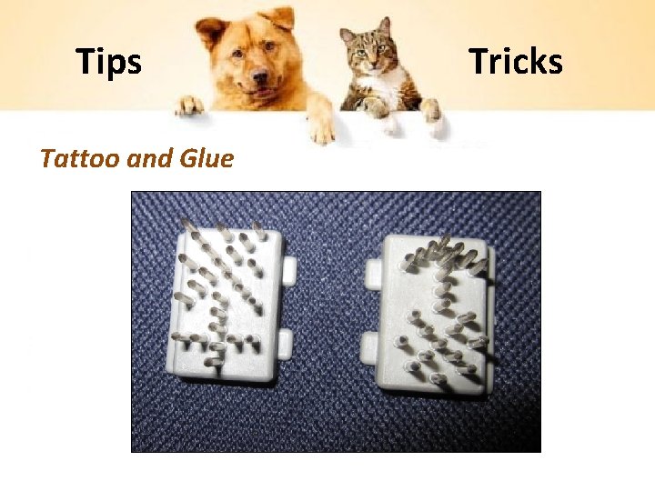 Tips Tattoo and Glue Tricks 