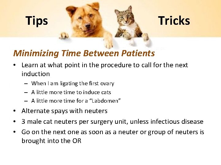 Tips Tricks Minimizing Time Between Patients • Learn at what point in the procedure