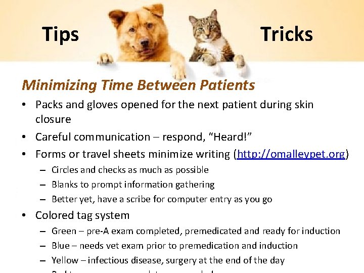 Tips Tricks Minimizing Time Between Patients • Packs and gloves opened for the next