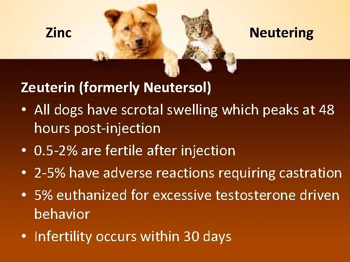 Zinc Neutering Zeuterin (formerly Neutersol) • All dogs have scrotal swelling which peaks at