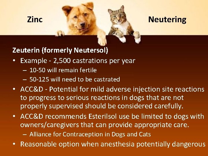 Zinc Neutering Zeuterin (formerly Neutersol) • Example - 2, 500 castrations per year –