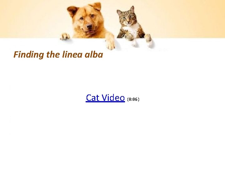 Finding the linea alba Cat Video (0: 06) 