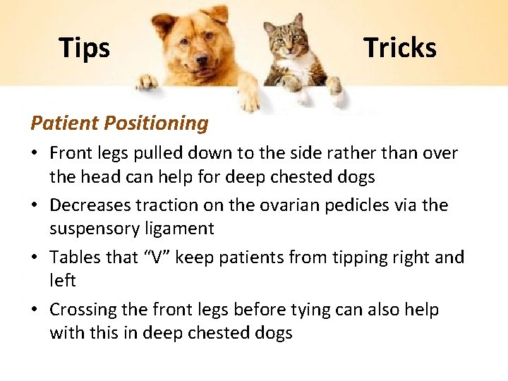 Tips Tricks Patient Positioning • Front legs pulled down to the side rather than