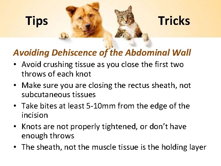 Tips Tricks Avoiding Dehiscence of the Abdominal Wall • Avoid crushing tissue as you