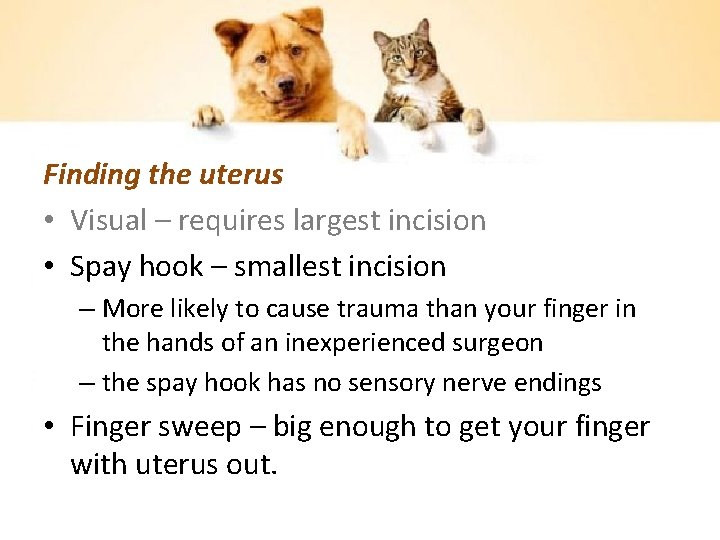 Finding the uterus • Visual – requires largest incision • Spay hook – smallest