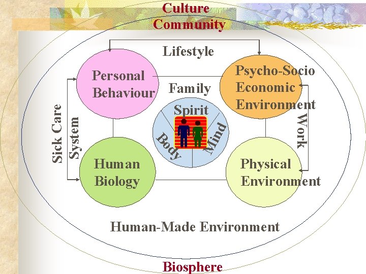 Culture Community nd Mi dy Human Biology Psycho-Socio Economic Environment Work Personal Behaviour Family