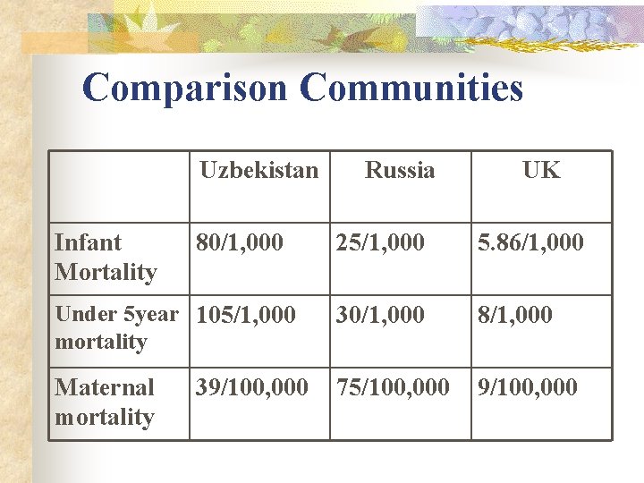 Comparison Communities Uzbekistan Infant Mortality 80/1, 000 Russia UK 25/1, 000 5. 86/1, 000