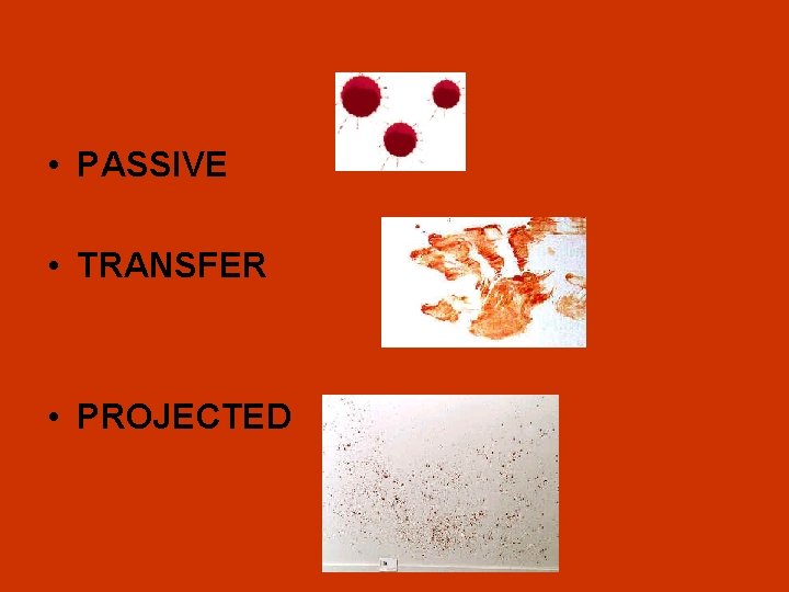  • PASSIVE • TRANSFER • PROJECTED • 