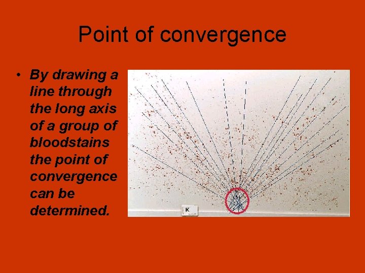 Point of convergence • By drawing a line through the long axis of a