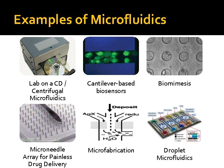 Examples of Microfluidics Lab on a CD / Centrifugal Microfluidics Cantilever-based biosensors Biomimesis Microneedle