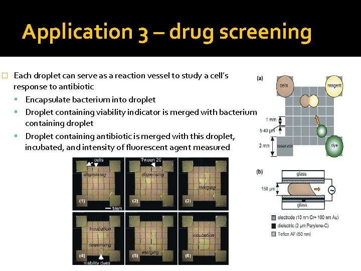 Application 3 – drug screening � Each droplet can serve as a reaction vessel