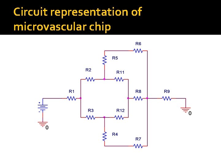 Circuit representation of microvascular chip 
