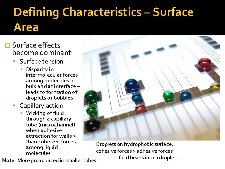 Defining Characteristics – Surface Area � Surface effects become dominant: Surface tension ▪ Disparity